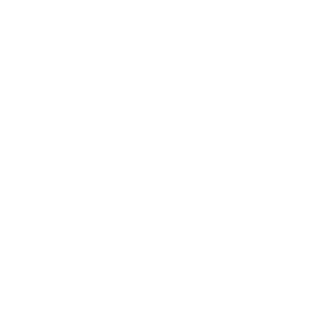 Round Rock ISD Gifted & Advanced Academics